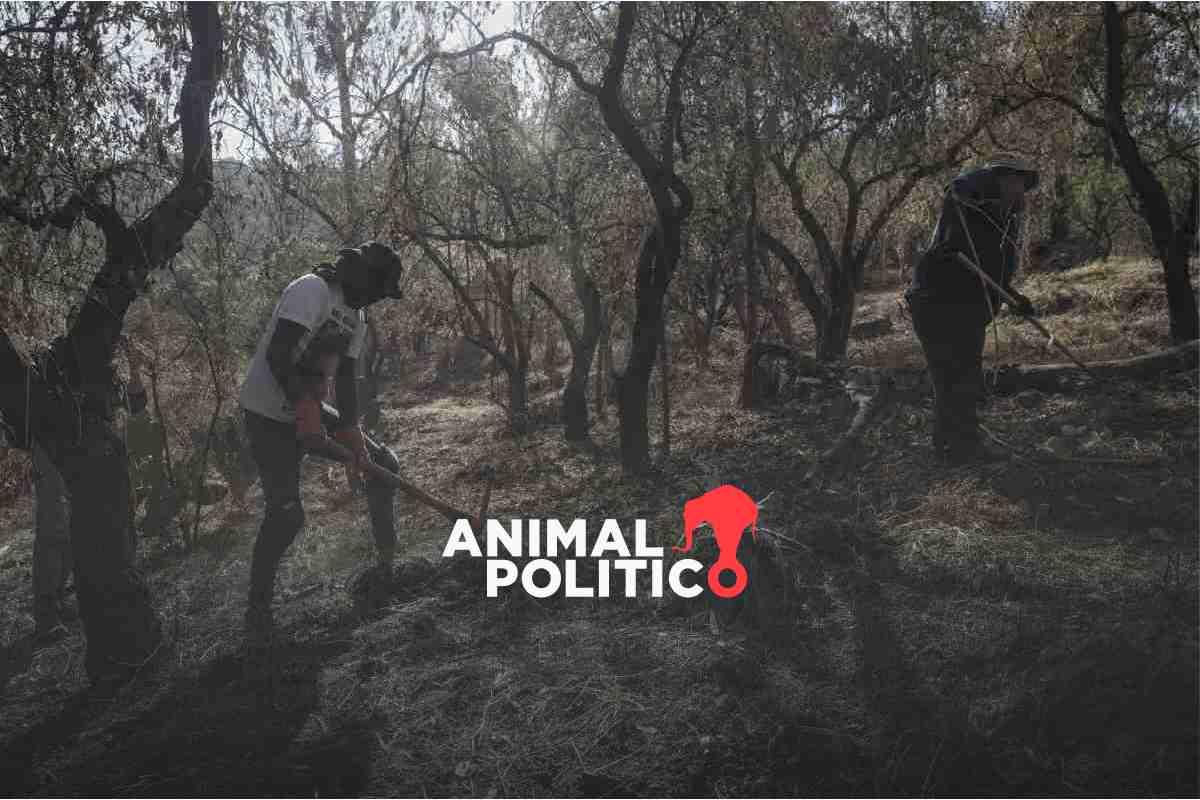 Registran 4 mil 120 personas desaparecidas en los primeros 100 días de Sheinbaum; 104 % más que con AMLO en el mismo periodo