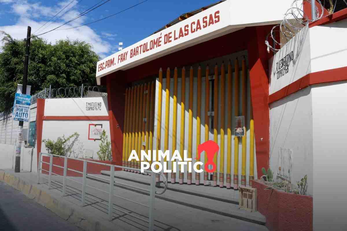 Matrícula en primarias de Guerrero cayó 22 % debido a la violencia que lleva a suspensión de clases y abandono escolar