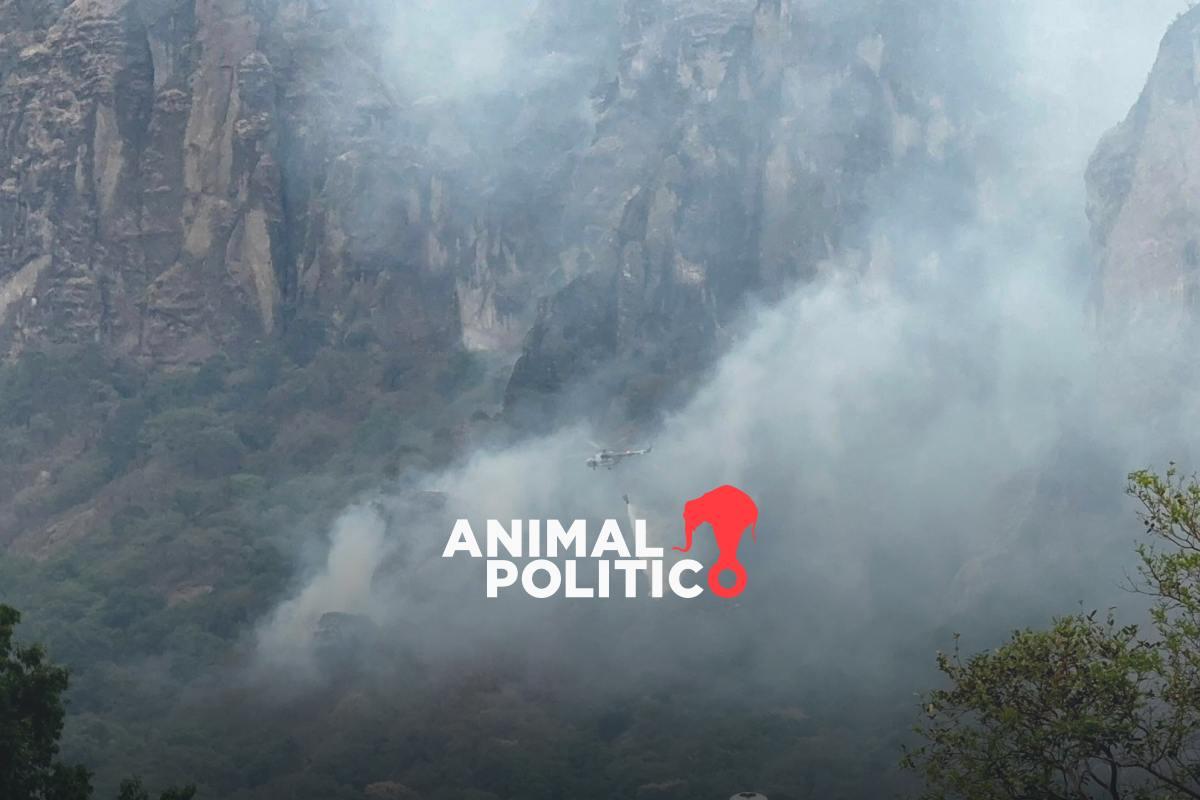 Incendio en el Tepozteco en Morelos suma cuatro días; van 180 hectáreas afectadas y 70 % está controlado