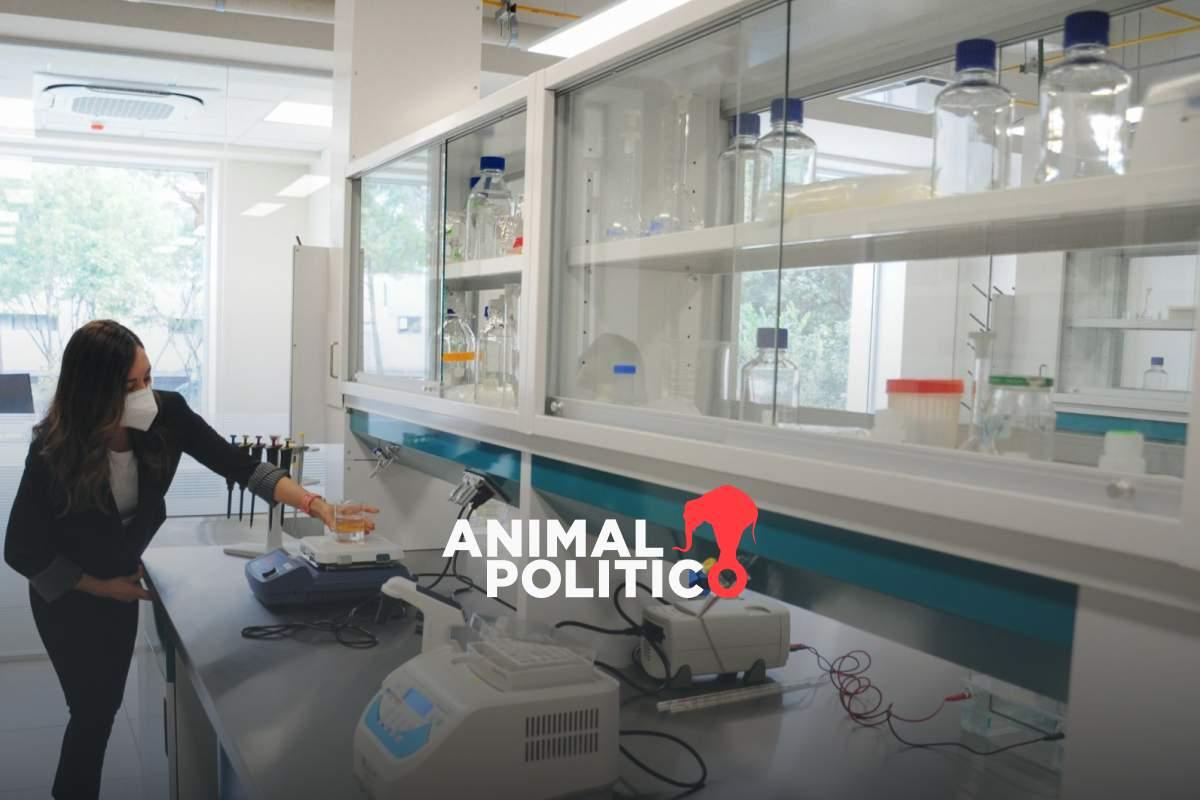 “Quisiera vivir de amar la ciencia, pero necesito comer”; por falta de presupuesto dejan a estudiantes del Cinvestav sin becas