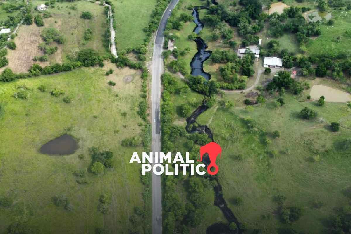 Pemex registra 270 derrames y fugas de alto impacto ambiental de 2018 a 2024