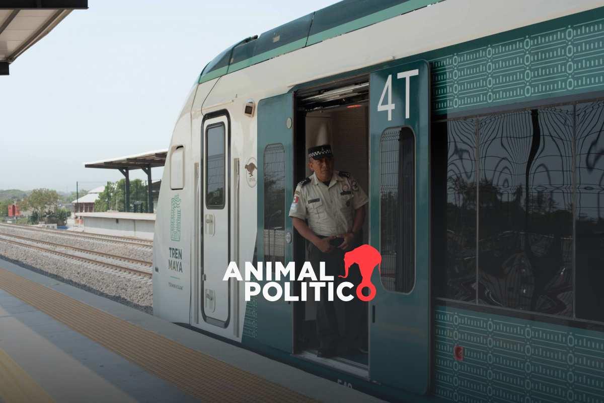 Expropian 56 bienes inmuebles en Chiapas, Tabasco, Campeche, Yucatán y Quintana Roo para el Tren Maya