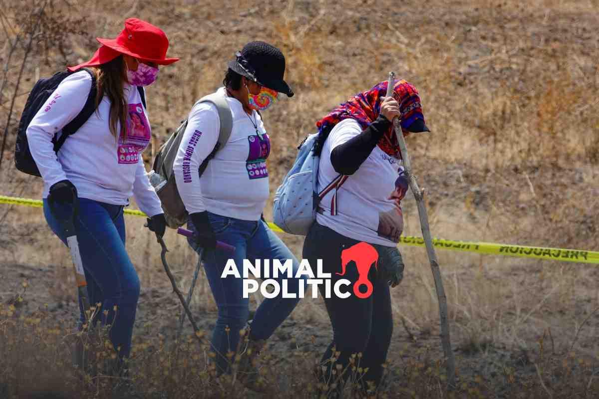 “Somos amenazadas, somos perseguidas por buscar”: madres buscadoras enfrentan riesgos, criminalización y discursos revictimizantes