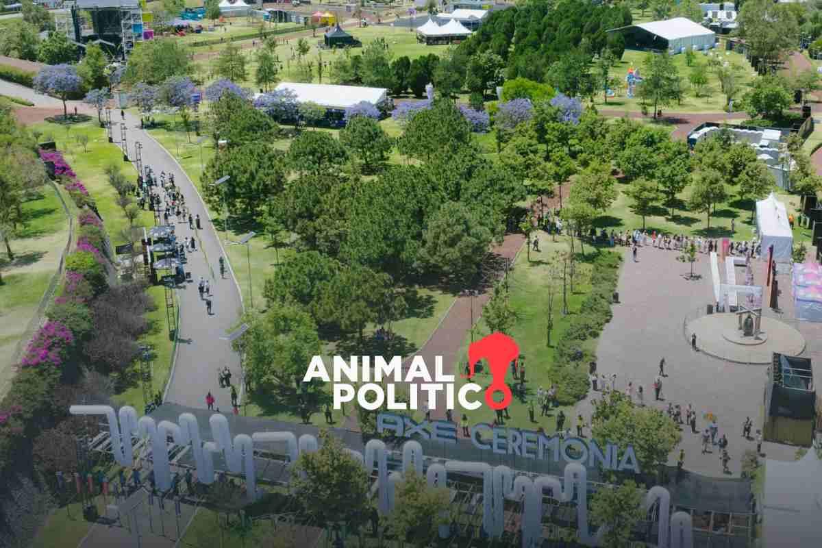 Mueren dos personas tras colapso de estructura en festival AXE Ceremonia; conciertos continúan pese a suspensión