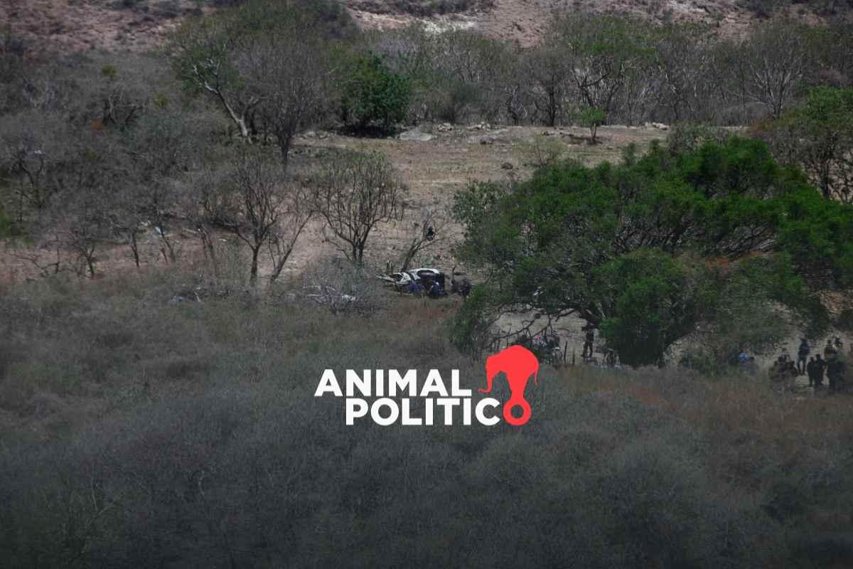 Colectivo localiza fosas clandestinas con 10 cuerpos en Reynosa, Tamaulipas