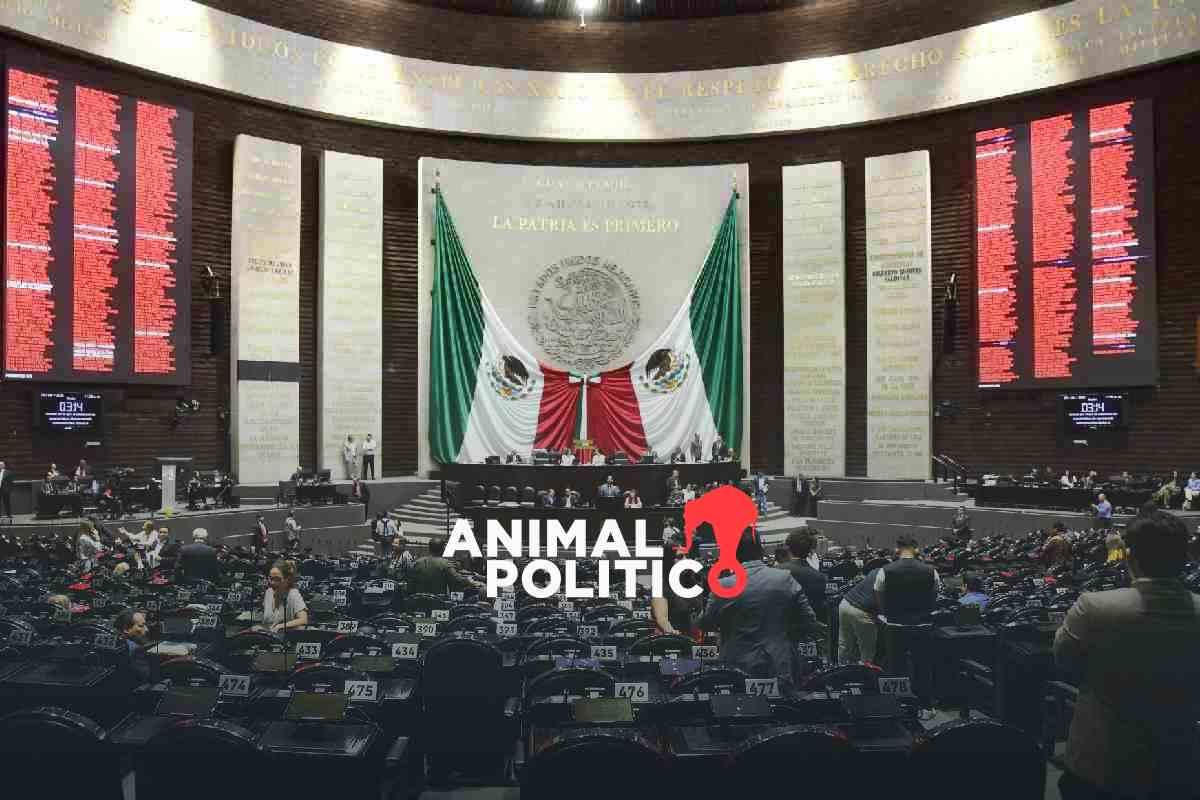 El PT “congela” relación con Morena en Cámara de Diputados; “se sienten sobrados, con poder absoluto”, señala coordinador