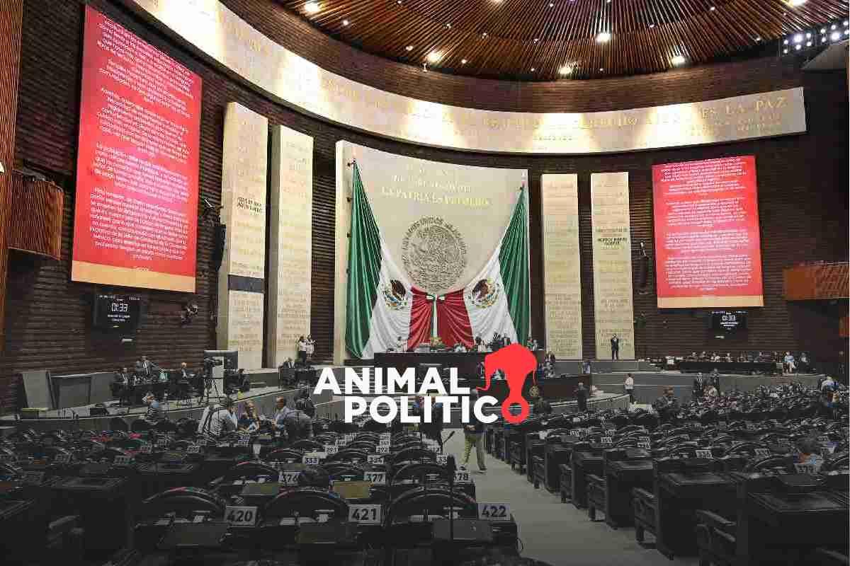 Sueldo de diputados aumenta pese a plan de austeridad; reciben al menos 153 mil pesos al mes por dieta y apoyos