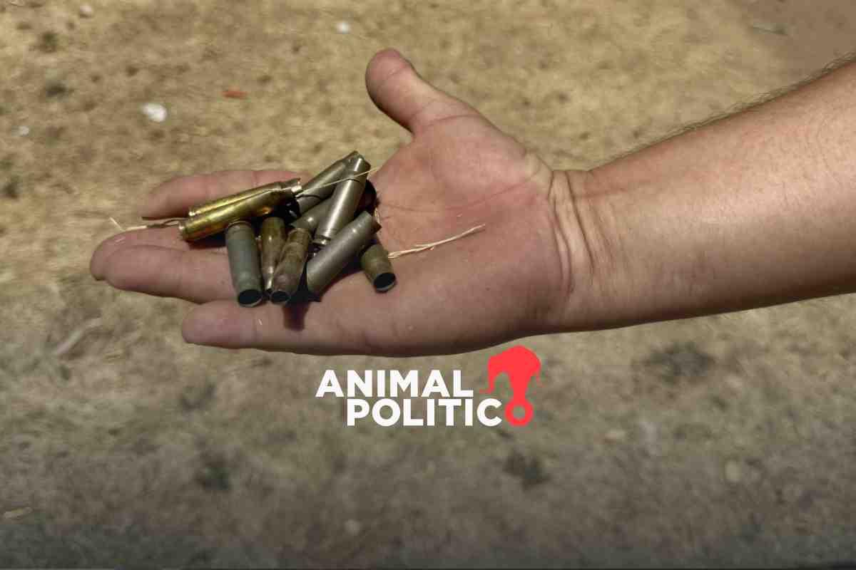 “No quiero volver, los drones nos tiran bombas”: niños y niñas de Apatzingán son desplazados por la guerra de cárteles