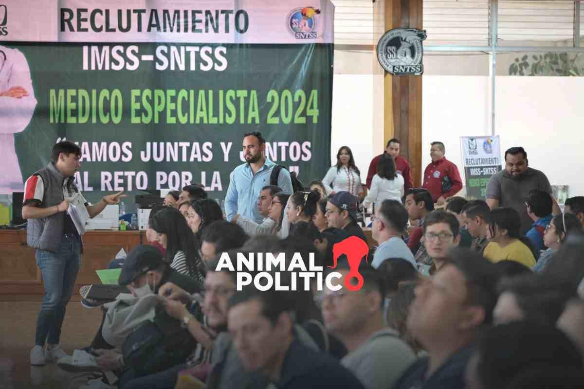 Médicos residentes quedan fuera del sistema de salud por trabas en la asignación de plazas, pese a déficit de especialistas