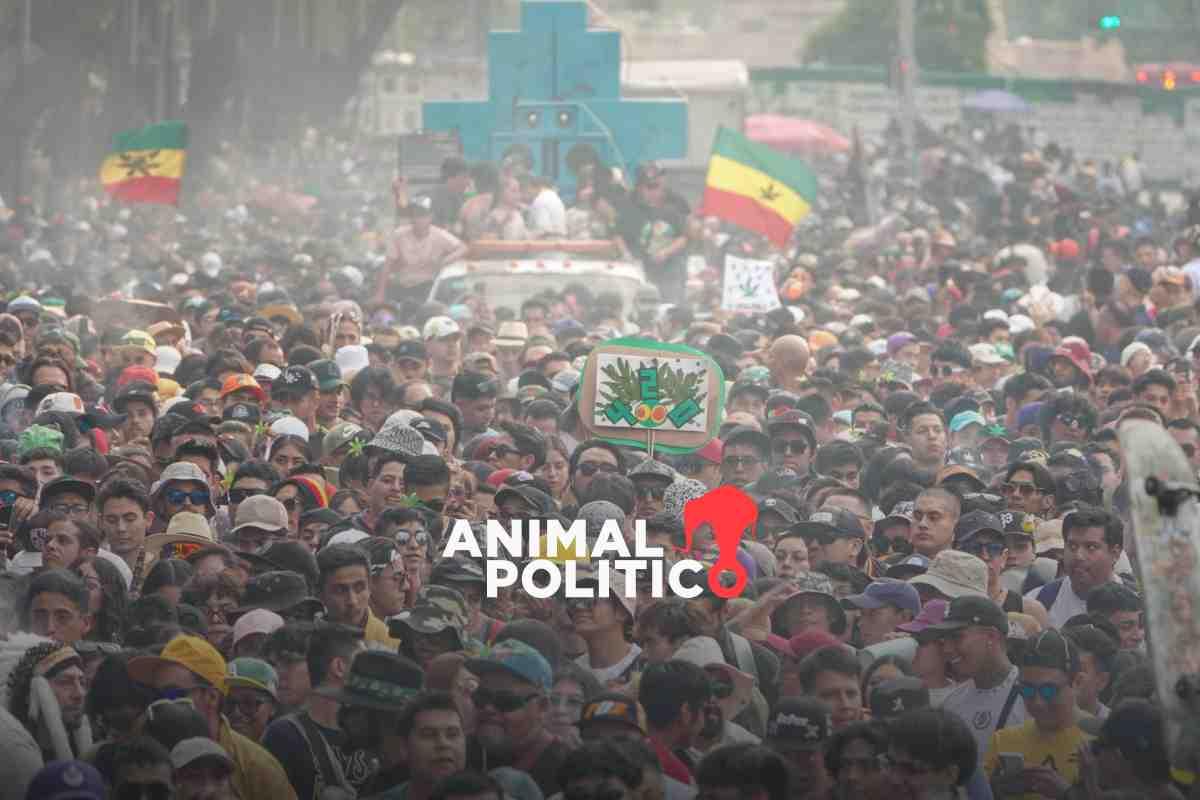 Colectivos en CDMX piden cultivo libre de cannabis en el Día Mundial de la Marihuana