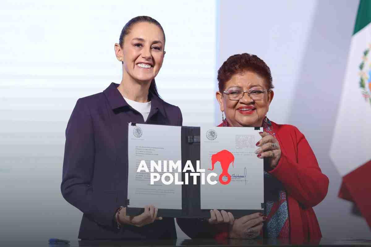 Acceso ilimitado a bases de datos en reforma de Sheinbaum es riesgoso y una amenaza a la privacidad, alertan especialistas