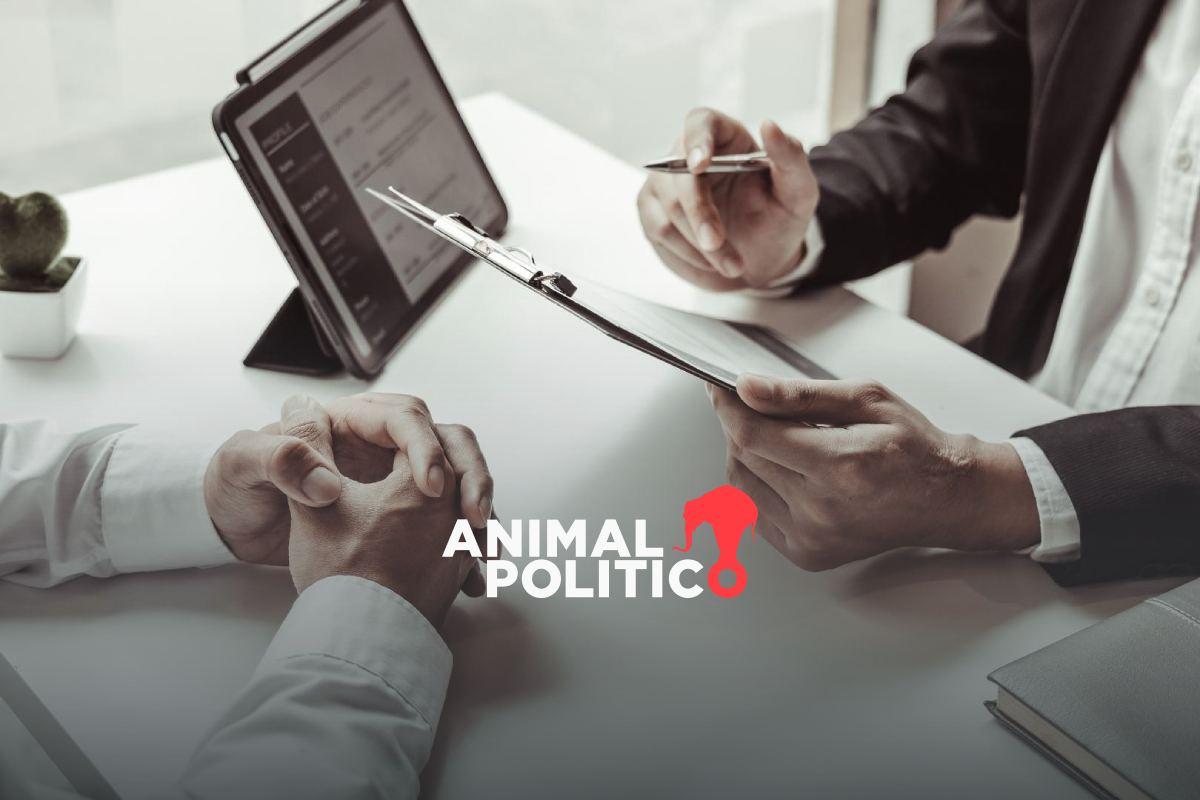 ¡Alerta! Así estafan con ofertas de trabajo y esto puedes hacer para evitar caer en ellas