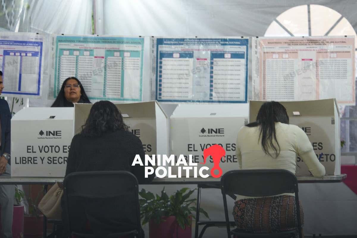 Paso a paso: así puedes ubicar tu casilla para votar el próximo 1 de junio en la elección judicial