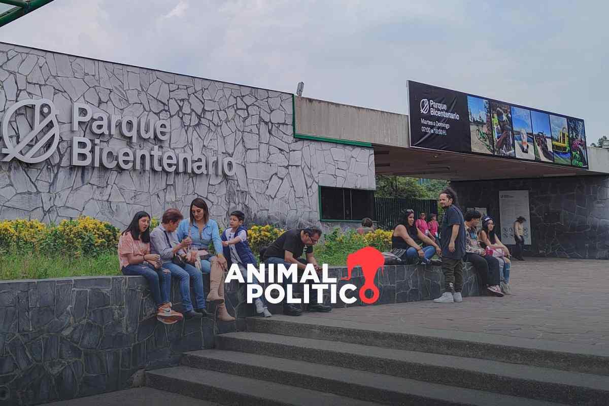 Retiran concesión a operadora del Parque Bicentenario tras muerte de fotógrafos en Axe Ceremonia; pasa a la Secretaría de Cultura