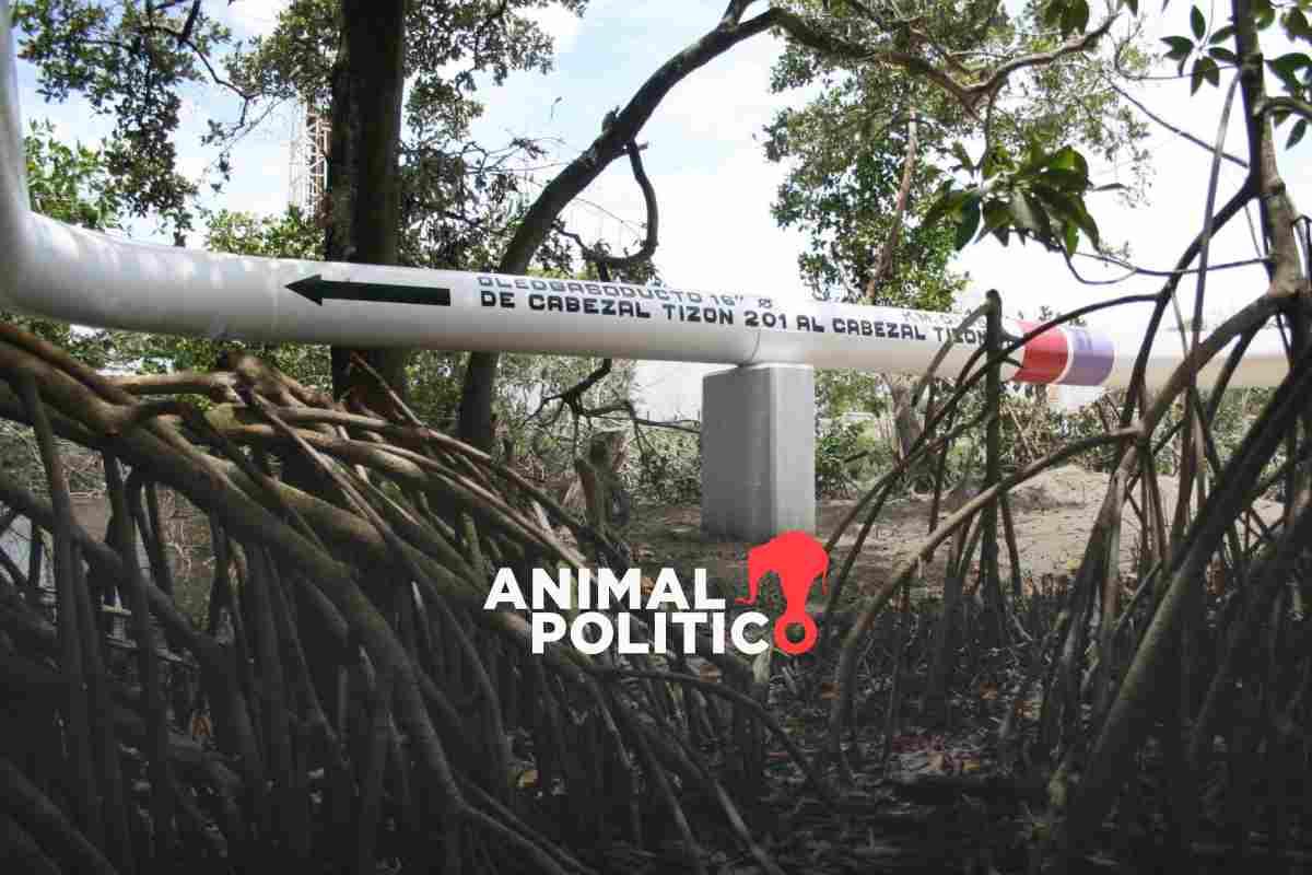 Pemex es responsable de uno de cada 3 sitios contaminados en Áreas Naturales Protegidas; llevan más de 10 años sin atender