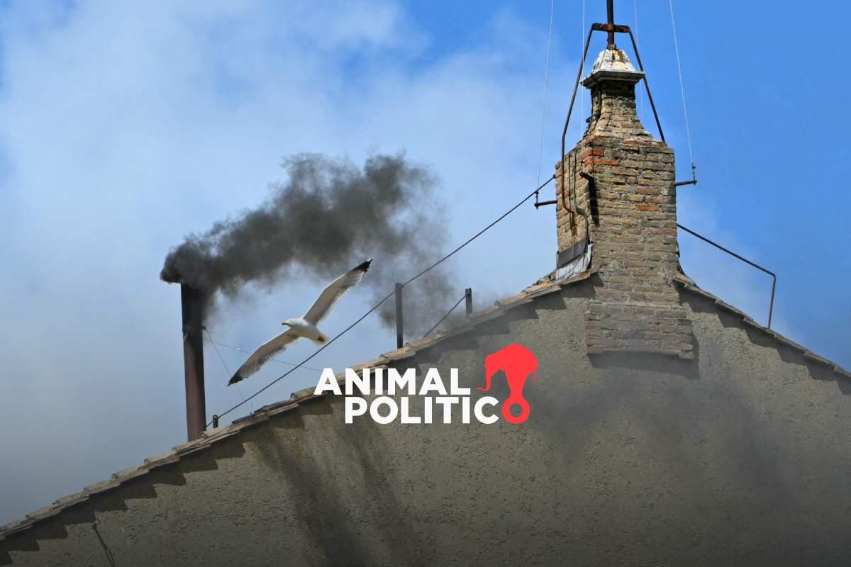 Segundo día de cónclave: humo negro, cardenales no llegan a acuerdo sobre nuevo papa