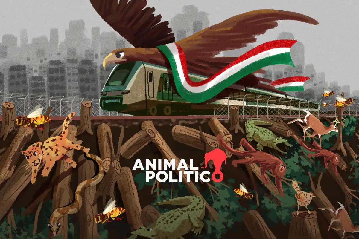 Científicos advierten que el Tren Maya acelerará la vulnerabilidad de la Península de Yucatán a eventos climáticos extremos