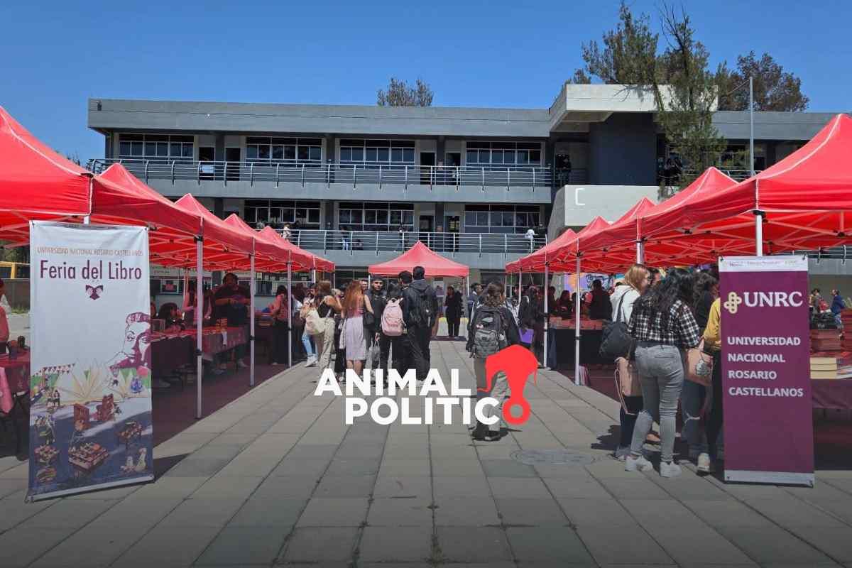 Universidad Rosario Castellanos lanza convocatoria a nivel nacional; te decimos los requisitos y cómo registrarte