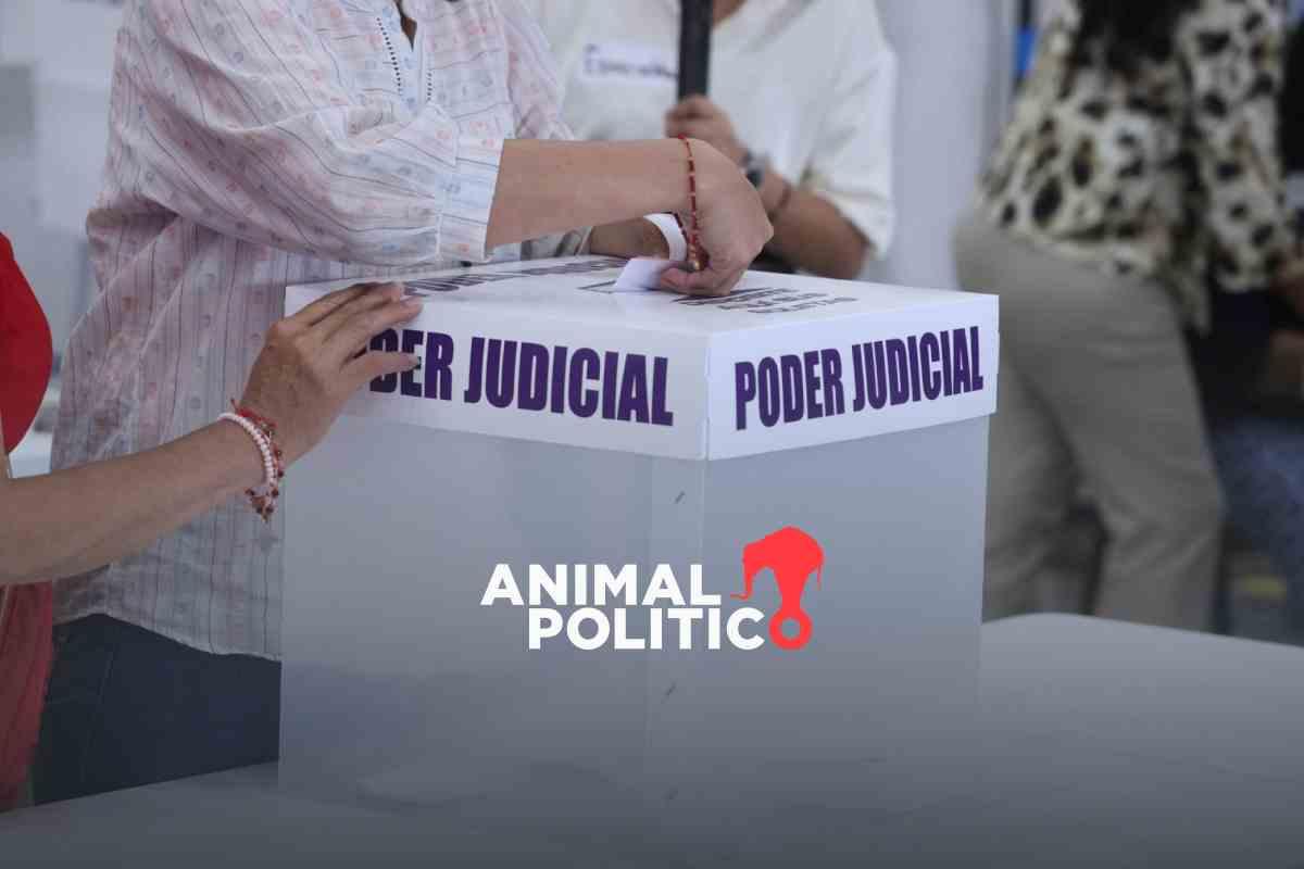 Partidos políticos se infiltran en elección del Poder Judicial de Chihuahua: hay 78 candidatos con militancia, la mayoría del PAN