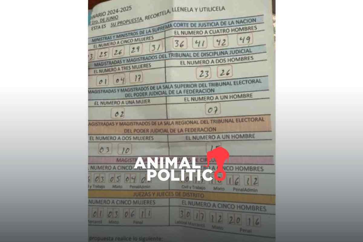 Morenistas difunden acordeones para favorecer candidatos en la elección judicial