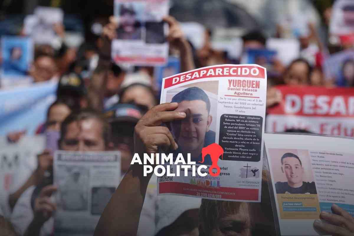 En sólo 5 meses con Sheinbaum, suman más de mil jóvenes de 15 a 19 años desaparecidos; 75% más que 2024, el año récord