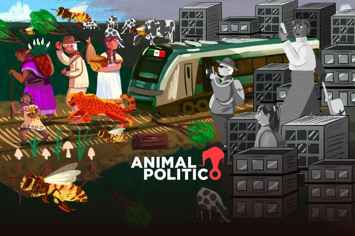 Degradación y gentrificación: así se verá en 25 años la Península de Yucatán como efecto del Tren Maya