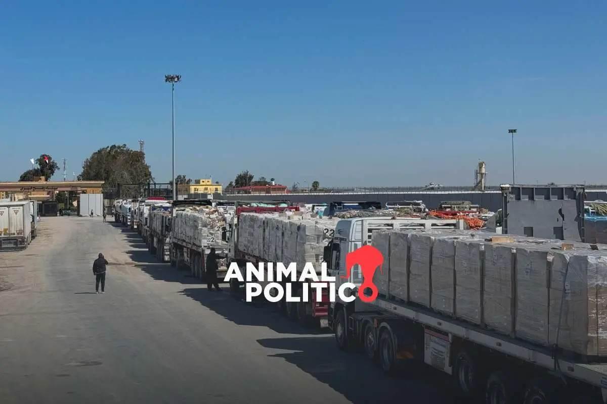 Activistas mexicanos viajan a la Franja de Gaza para repartir ayuda humanitaria en la movilización “Global March to Gaza”