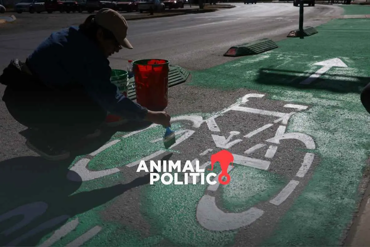 Nuevas ciclovías, biciestacionamientos y ecobicis: Clara Brugada anuncia acciones en CDMX por el Día Mundial de la Bicicleta