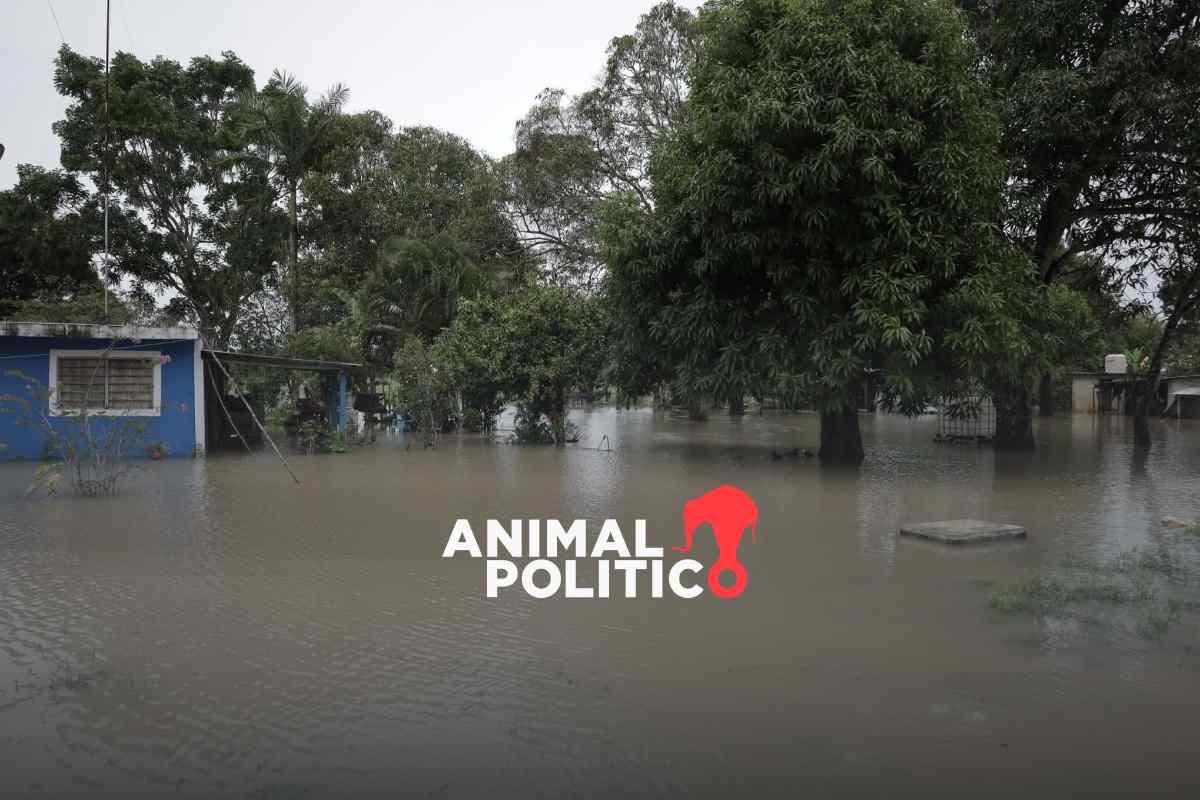 Quintana Roo registra deslaves e inundaciones con la Onda Tropical Siete; más de 20 comunidades afectadas
