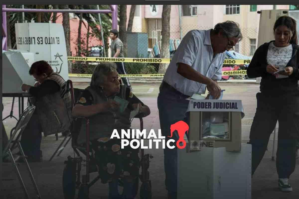 “Hacemos esto por los jóvenes”: adultos mayores fueron el músculo que movió la elección judicial