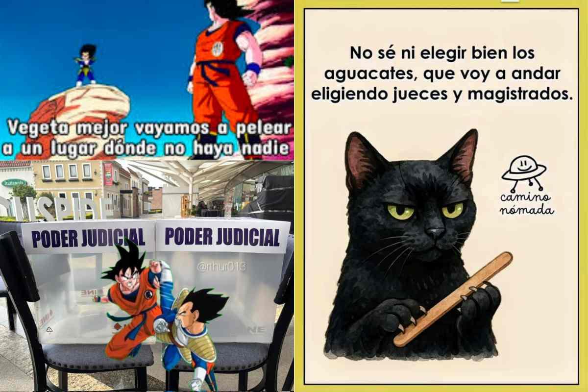 Terminó la elección judicial en México, pero los memes llegaron para divertirnos un rato