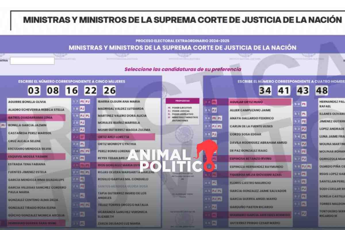 Llegan a la Suprema Corte de Justicia las candidaturas del acordeón