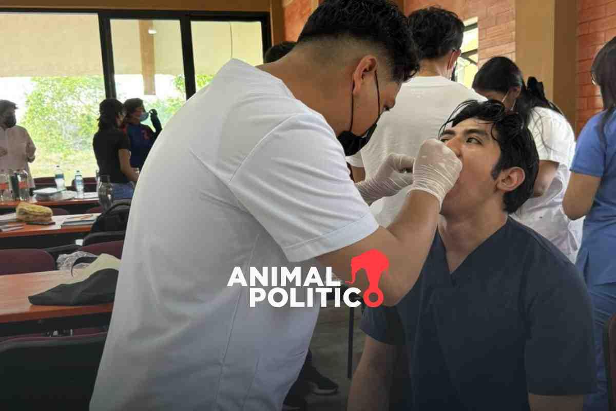 Universidad del Bienestar deja sin beca a alumnos de medicina, aunque Sheinbaum autorizó los recursos hace 7 meses