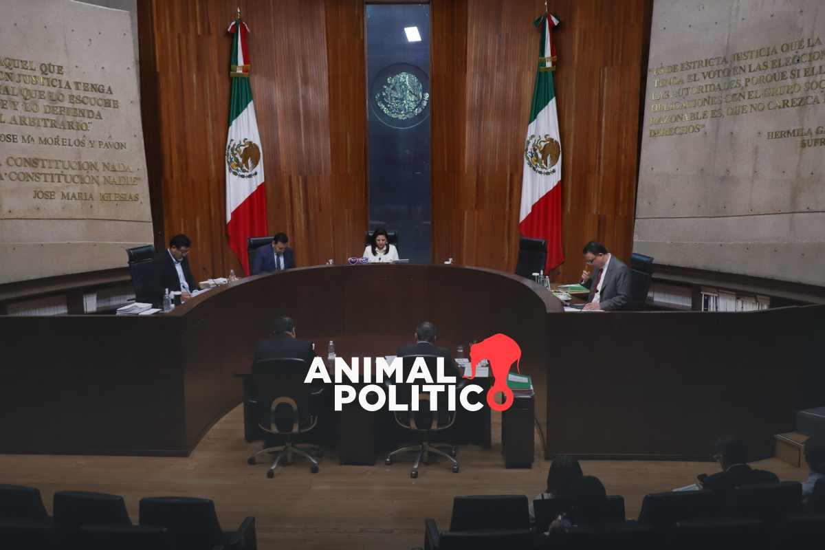 Sanciona Tribunal Electoral a ciudadana de Hermosillo por cuestionar en redes sociales a diputada del PT
