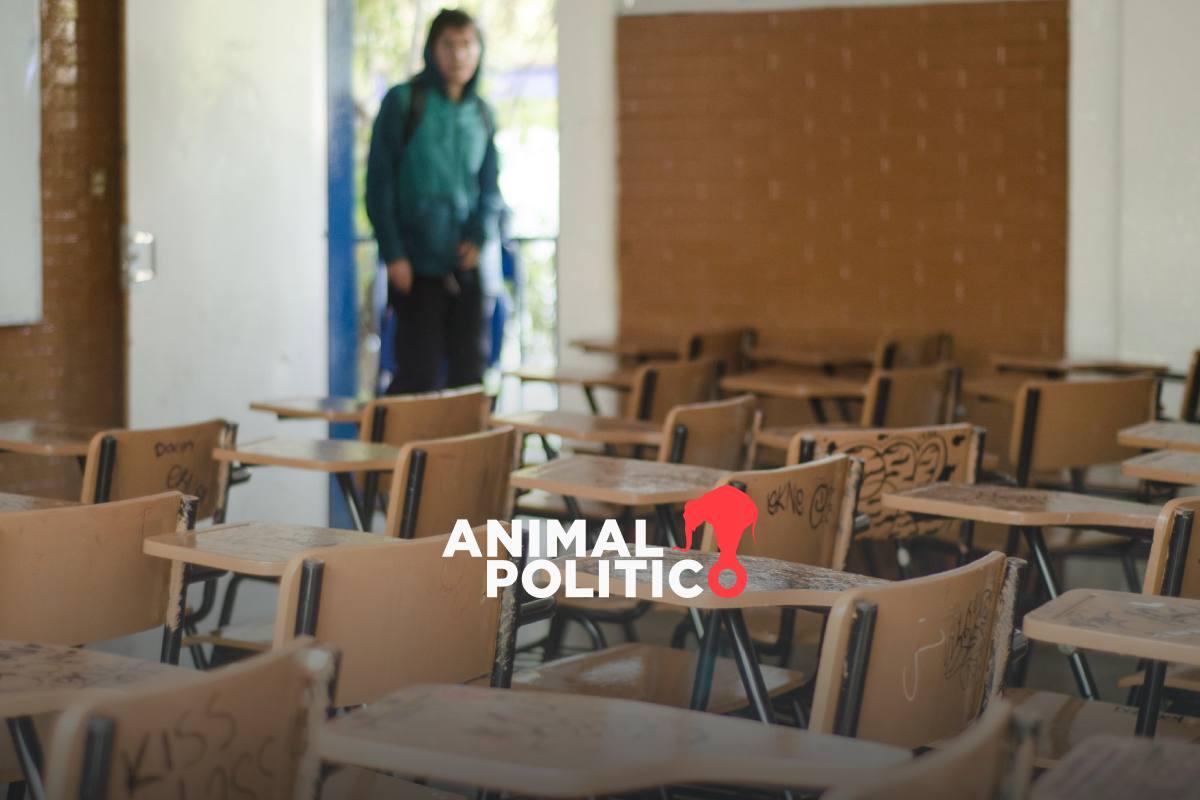 Deserción escolar en México: reportan que 994 mil estudiantes dejaron sus estudios en el ciclo 2024-2025