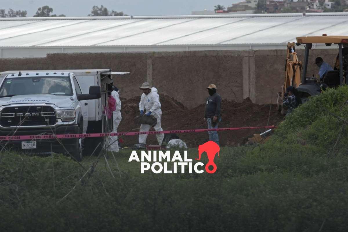 Jalisco: van 249 bolsas con segmentos humanos en Las Agujas, en Zapopan; 37 víctimas han sido confirmadas