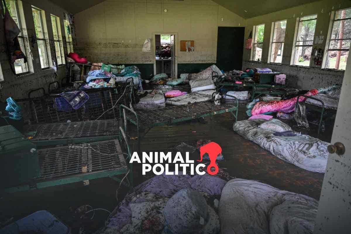 Jóvenes mexicanas salvan a 20 niñas estadounidenses en inundación de Texas