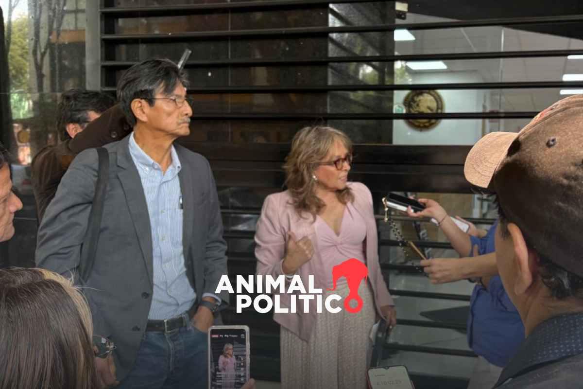 Morenistas piden renovar a dirigencias en estados y municipios para una “genuina democratización”