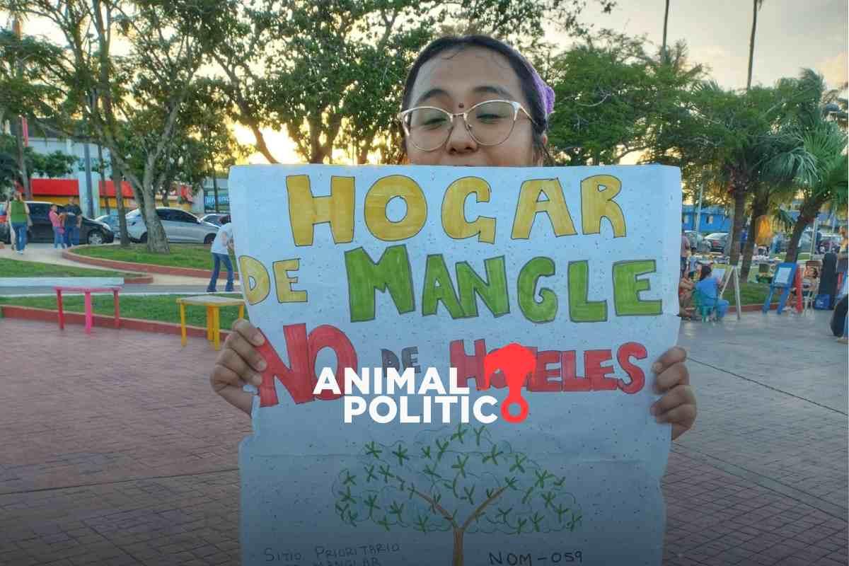 Ordenan reubicar hotel en la Laguna del Carpintero en Tampico, Tamaulipas; ecologistas exigen estudios ambientales