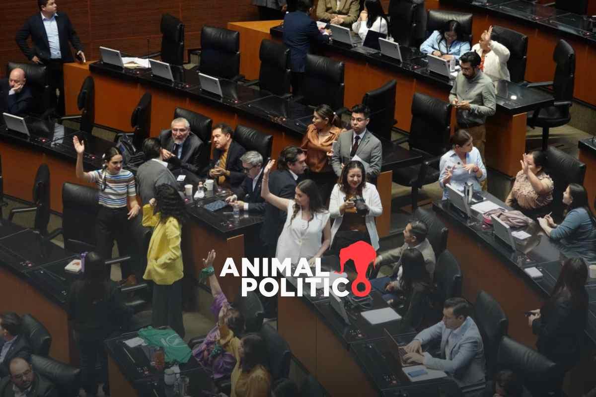 Avalan ley de inteligencia en el Senado; gobierno podrá acceder a bases de datos personales