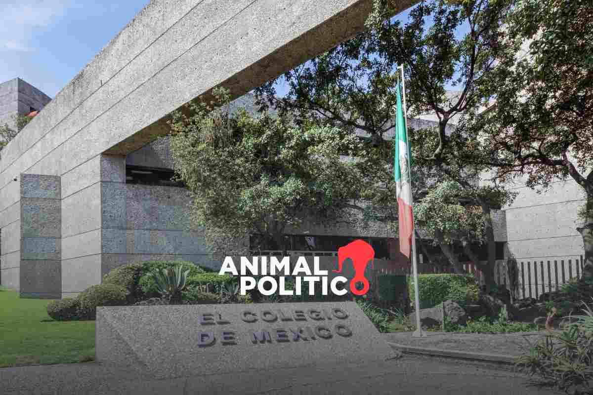 Académico sufre acoso laboral y luego es despedido del Colmex; promueve queja ante la CNDH