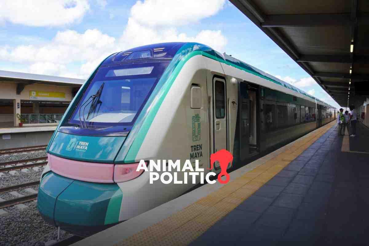 Semarnat y Fonatur aplazan, otra vez, audiencia por Tren Maya; “no hay justicia para pueblos”, denuncian