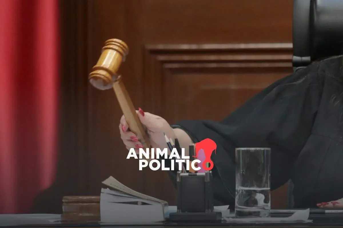 “Es como si un médico general hiciera trasplantes”: falta de especialización pone en riesgo operación de tribunales tras elección