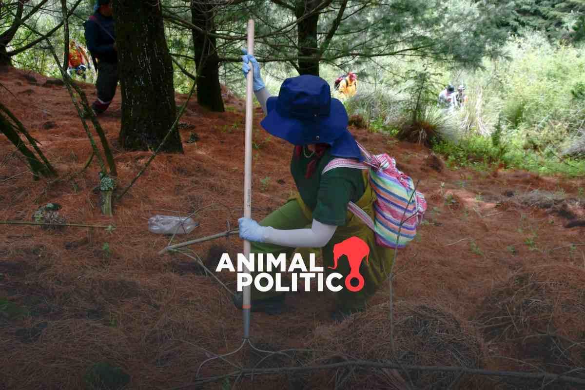 Madres buscadoras capacitan a policías de investigación de CDMX para rastrear a personas desaparecidas