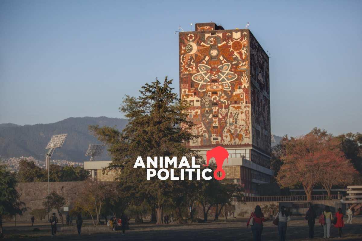 César quería estudiar Medicina Veterinaria, pero no fue seleccionado: UNAM inicia nuevo ciclo y deja fuera a miles de aspirantes