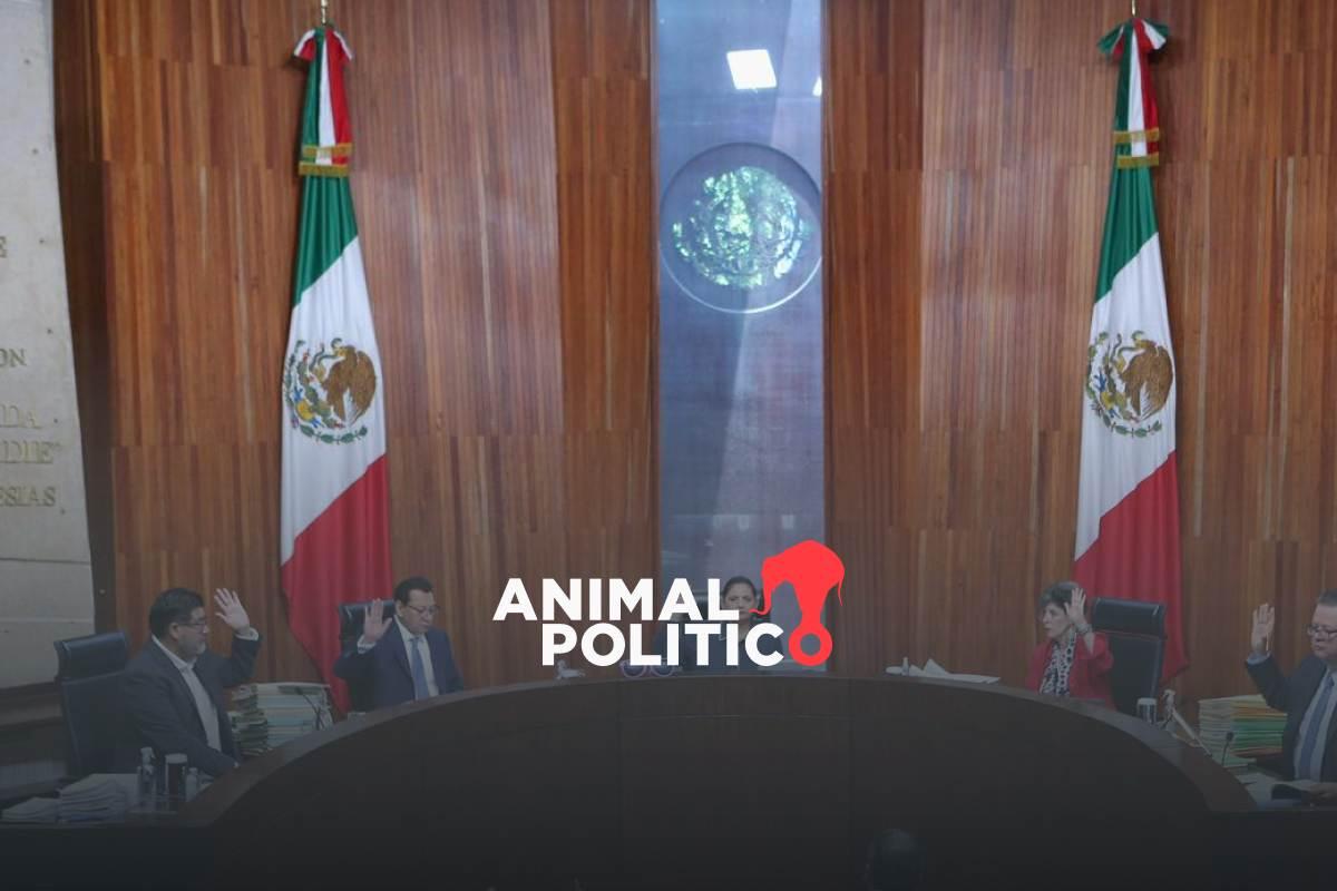 Tribunal Electoral desecha mayoría de recursos contra elección judicial; descarta denuncias por “acordeones” y calificaciones