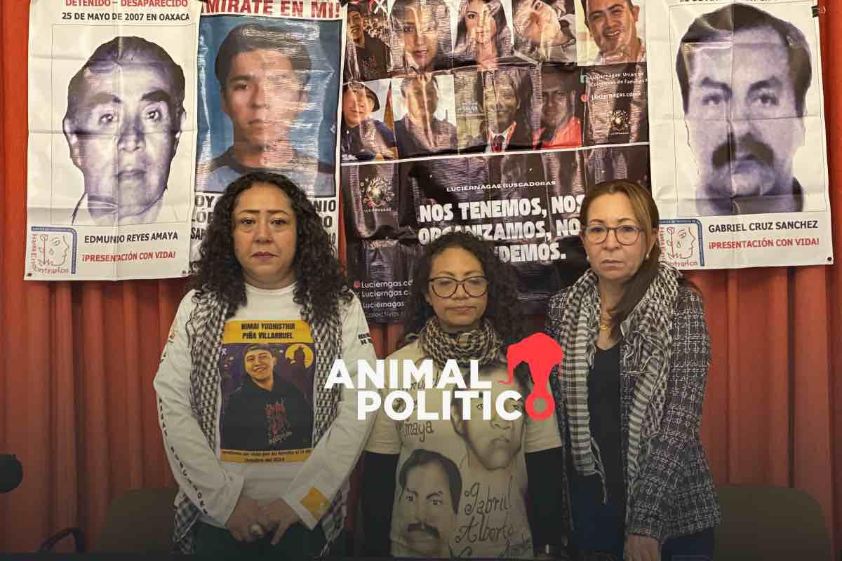 Colectivos exigen a la Comisión Nacional de Búsqueda contratar peritos independientes; falta profesionalismo a su personal, acusan