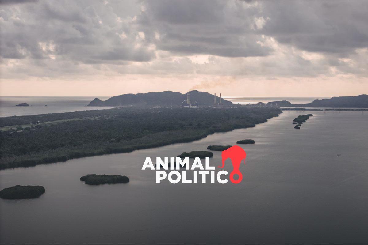 Marina inició obras en el Puerto Nuevo Manzanillo, Colima, desde enero sin autorización de impacto ambiental