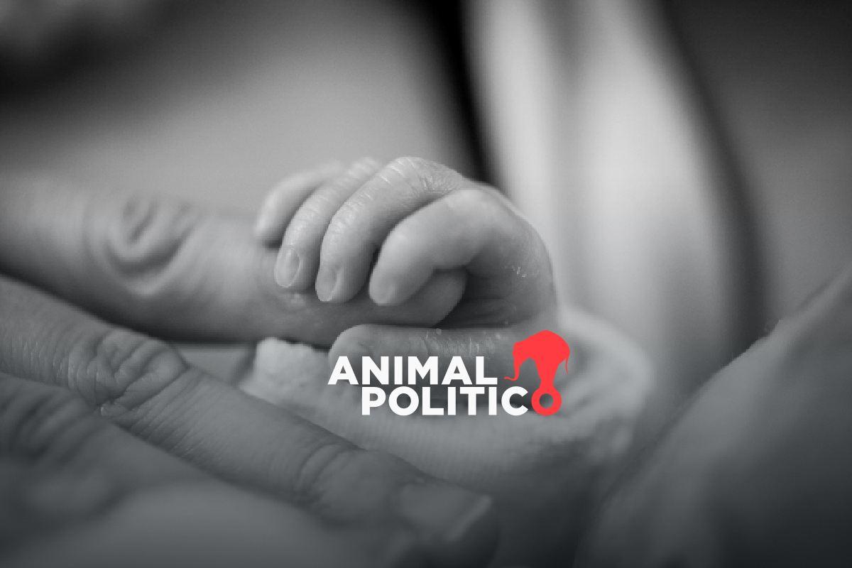 Se registran 1.67 millones de nacimientos en México en 2024; estos son los estados con tasa más baja