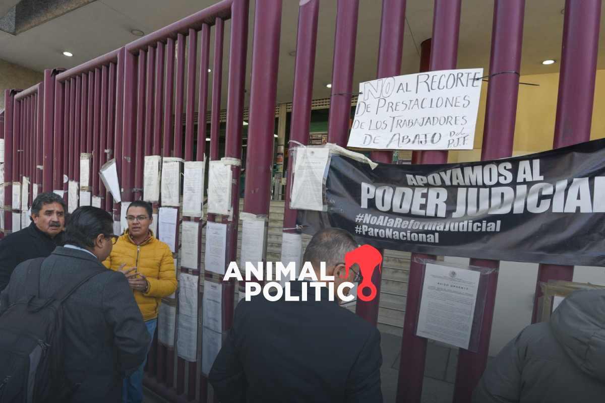 Opinión técnico-jurídica de Dirección General de Asuntos Jurídicos concluye no otorgar seguro médico a trabajadores del PJF